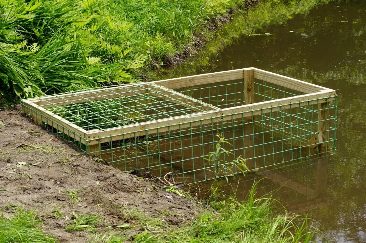 Mesh cage in front of culvert - S. Lisle