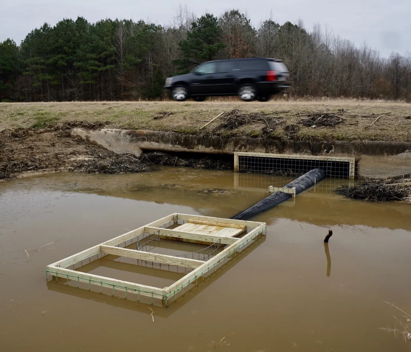 Cage in front of culvert - S. Lisle